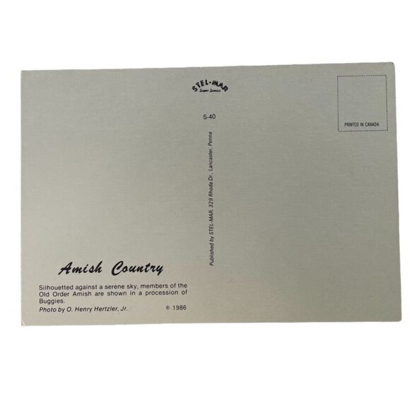 Vintage Postcard Amish Country Procession Horse Buggies Sunset u 1986 - Picture 2 of 2